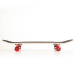 Skateboard 31'' Street complete set by Fish SCK Φωτογραφία 02